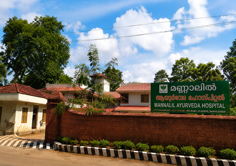 Mannalil Ayurveda Hospital – Digital Growth Case Study